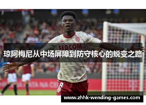 琼阿梅尼从中场屏障到防守核心的蜕变之路