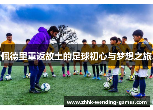 佩德里重返故土的足球初心与梦想之旅