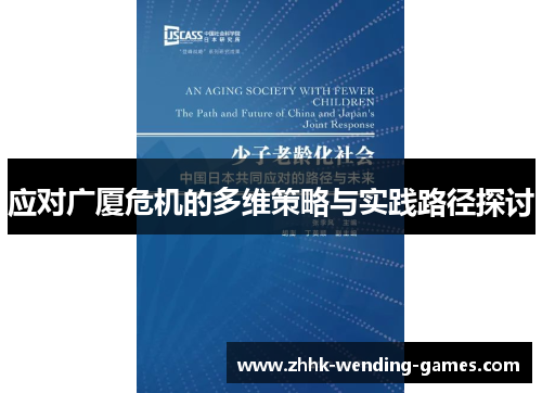 应对广厦危机的多维策略与实践路径探讨