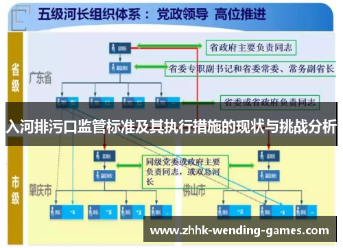 入河排污口监管标准及其执行措施的现状与挑战分析