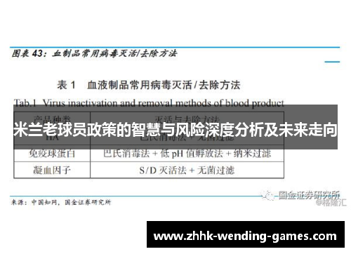 米兰老球员政策的智慧与风险深度分析及未来走向