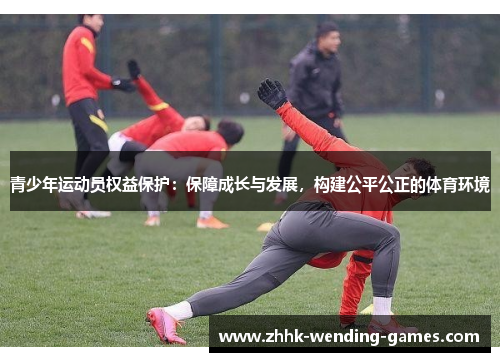 青少年运动员权益保护：保障成长与发展，构建公平公正的体育环境